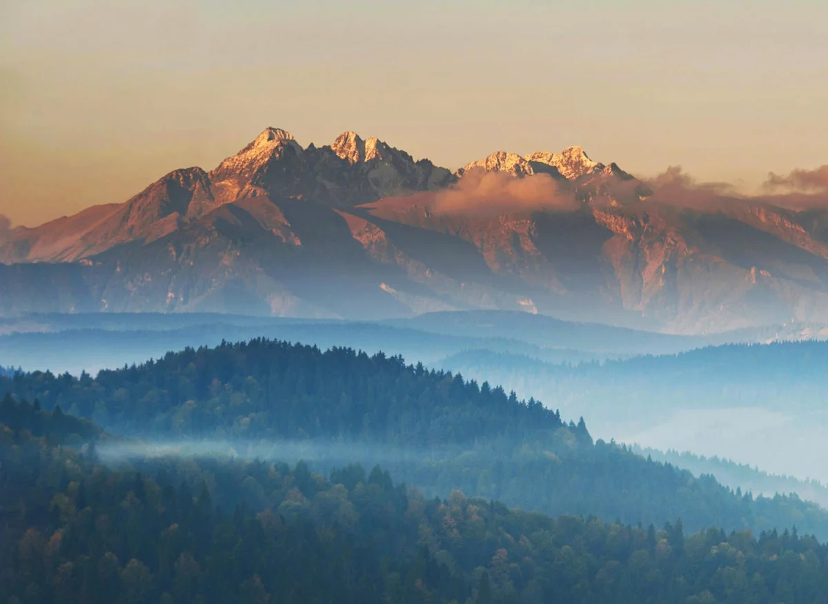  reklamować biznes w 2023?