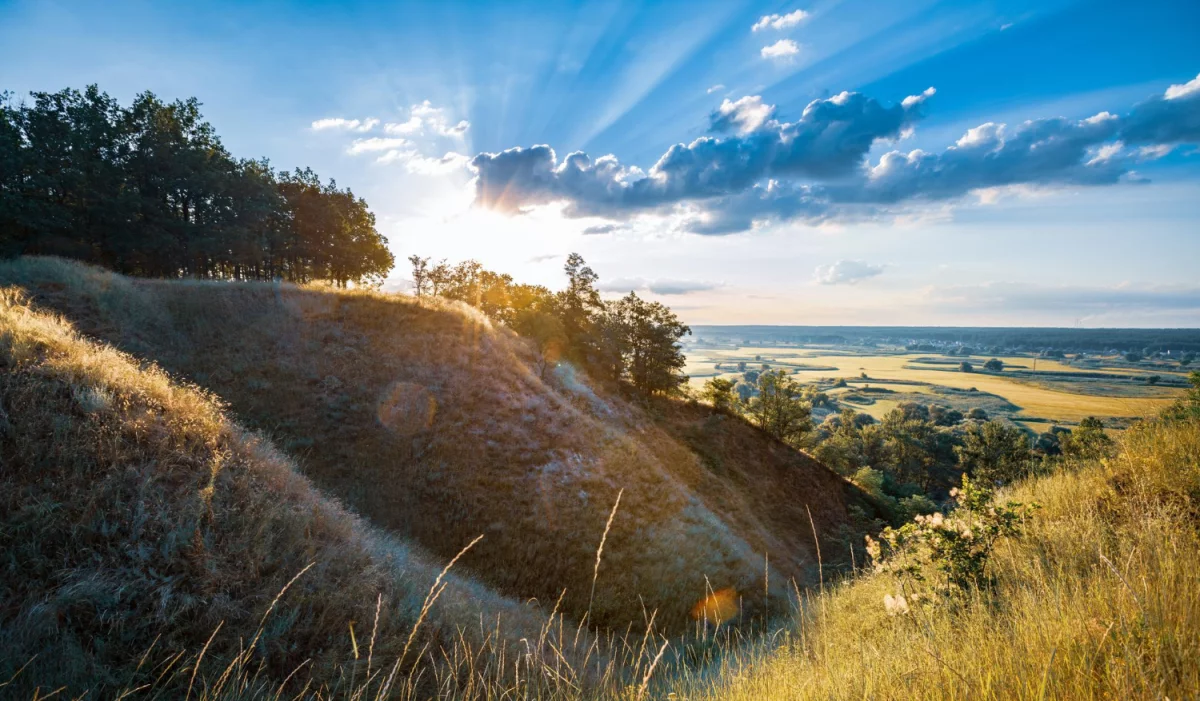 Lubisz uczyć bhp? Po przeczytaniu tego na pewno polubisz!