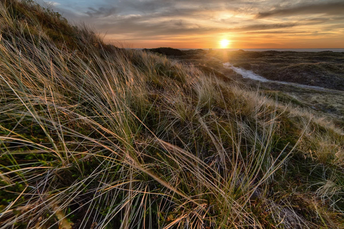 Kto musi złożyć sprawozdanie BDO?