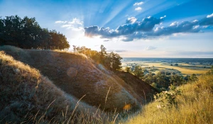 Czy warto opublikować artykuły do końca 2023