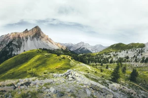 Czy w 2023 można  opublikować artykuł?